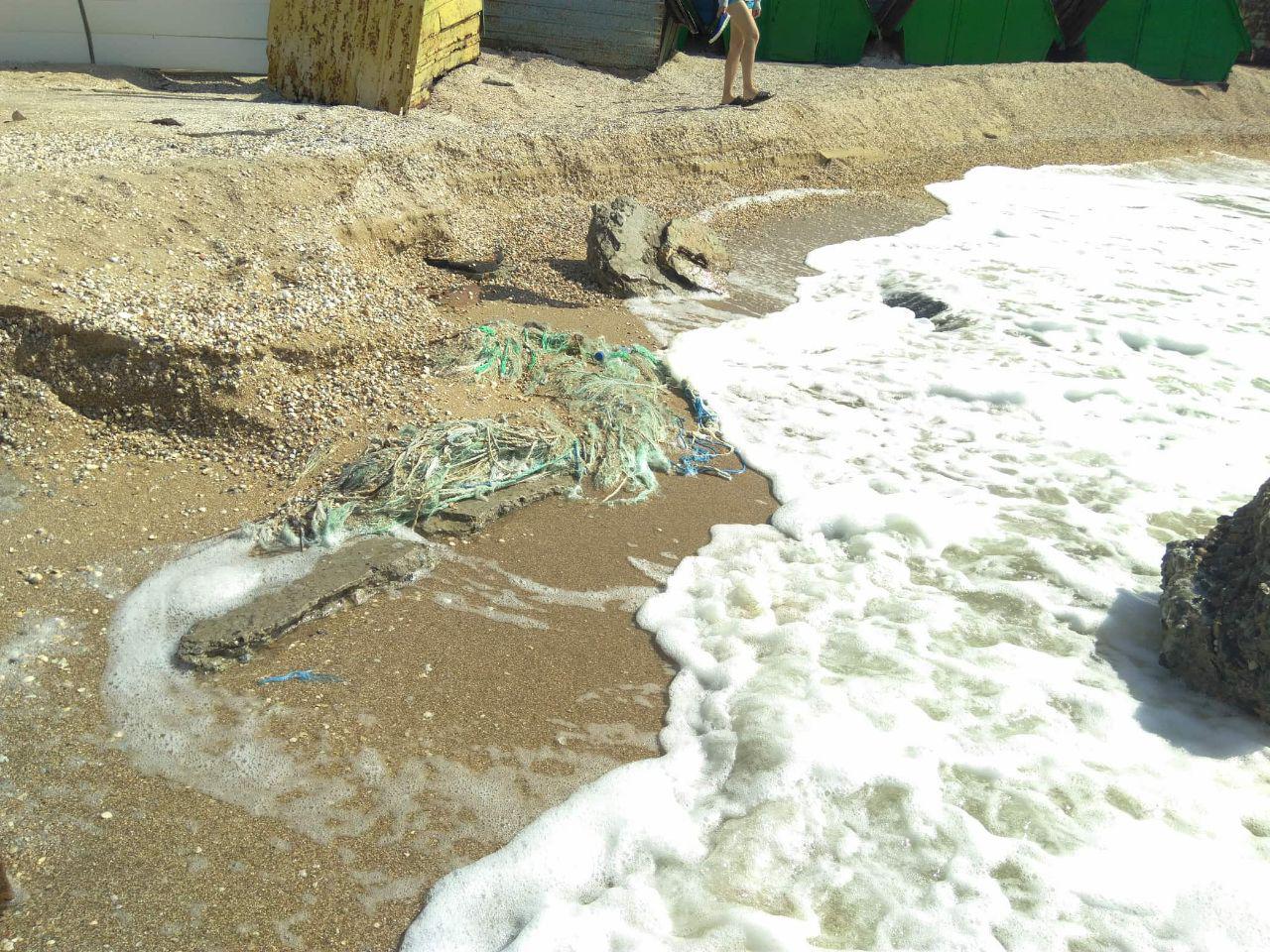 В Запорожской области погибли азовские дельфины (Фото)