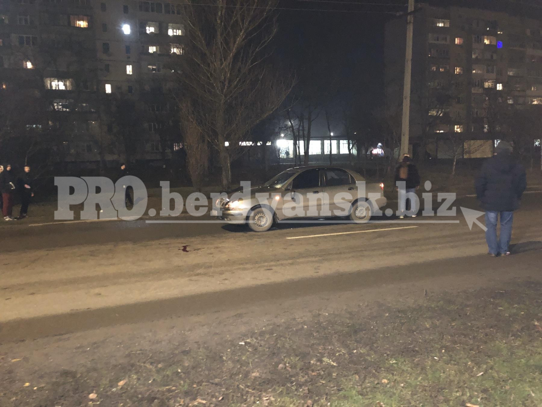 В Запорожской области пешеход угодил под колеса автомобиля (Фото)