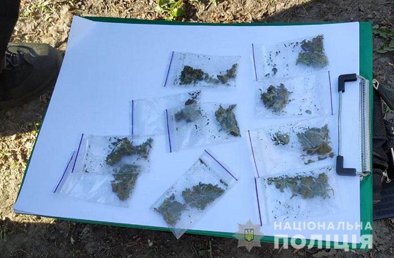 Полицейские изъяли у жителя Запорожья 94 зип-пакета с наркотиками