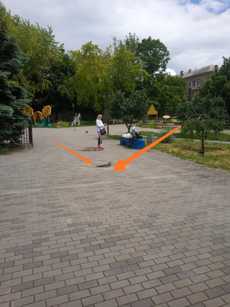 В Запорожье возле детской площадки провалилась плитка и образовала яму - фото
